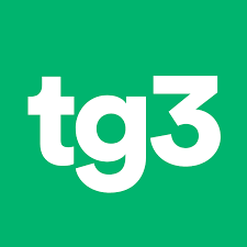 TG 3 – Commento ai dati Istat RAI 3